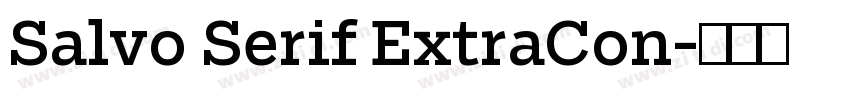 Salvo Serif ExtraCon字体转换